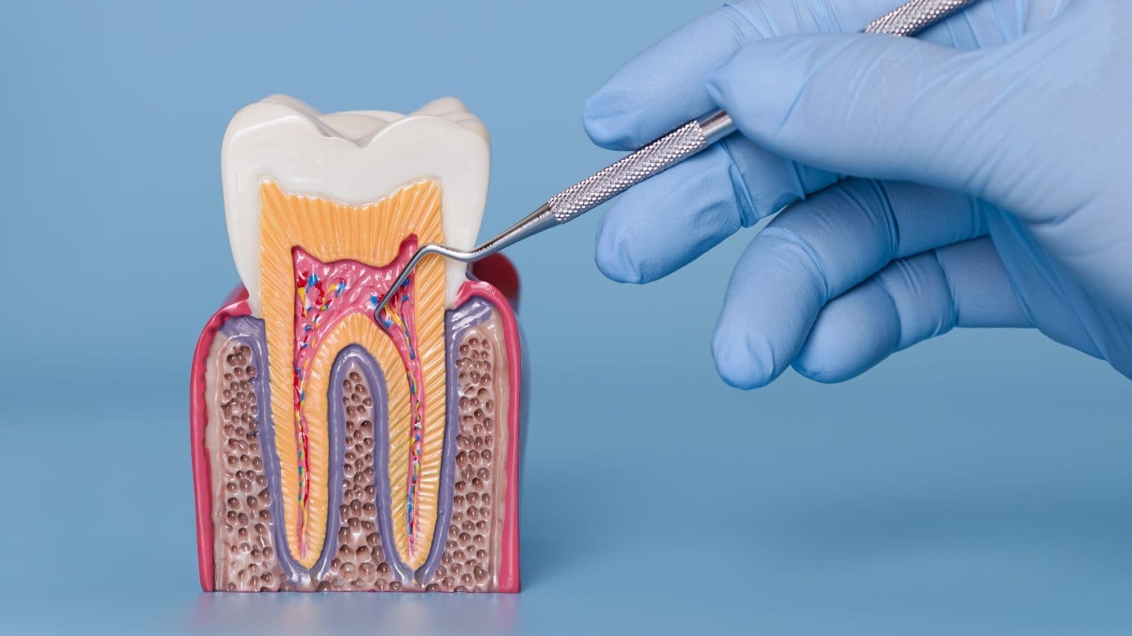 Endodonti